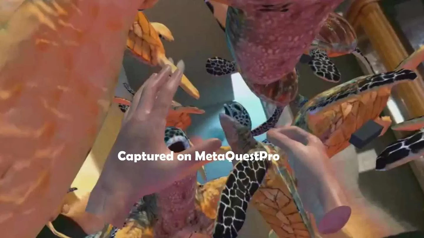 Oculus Quest 游戏《动物园+海洋手部追踪ZOSU通行证》Zoo + Ocean Handtracking ZOSU Passthrough