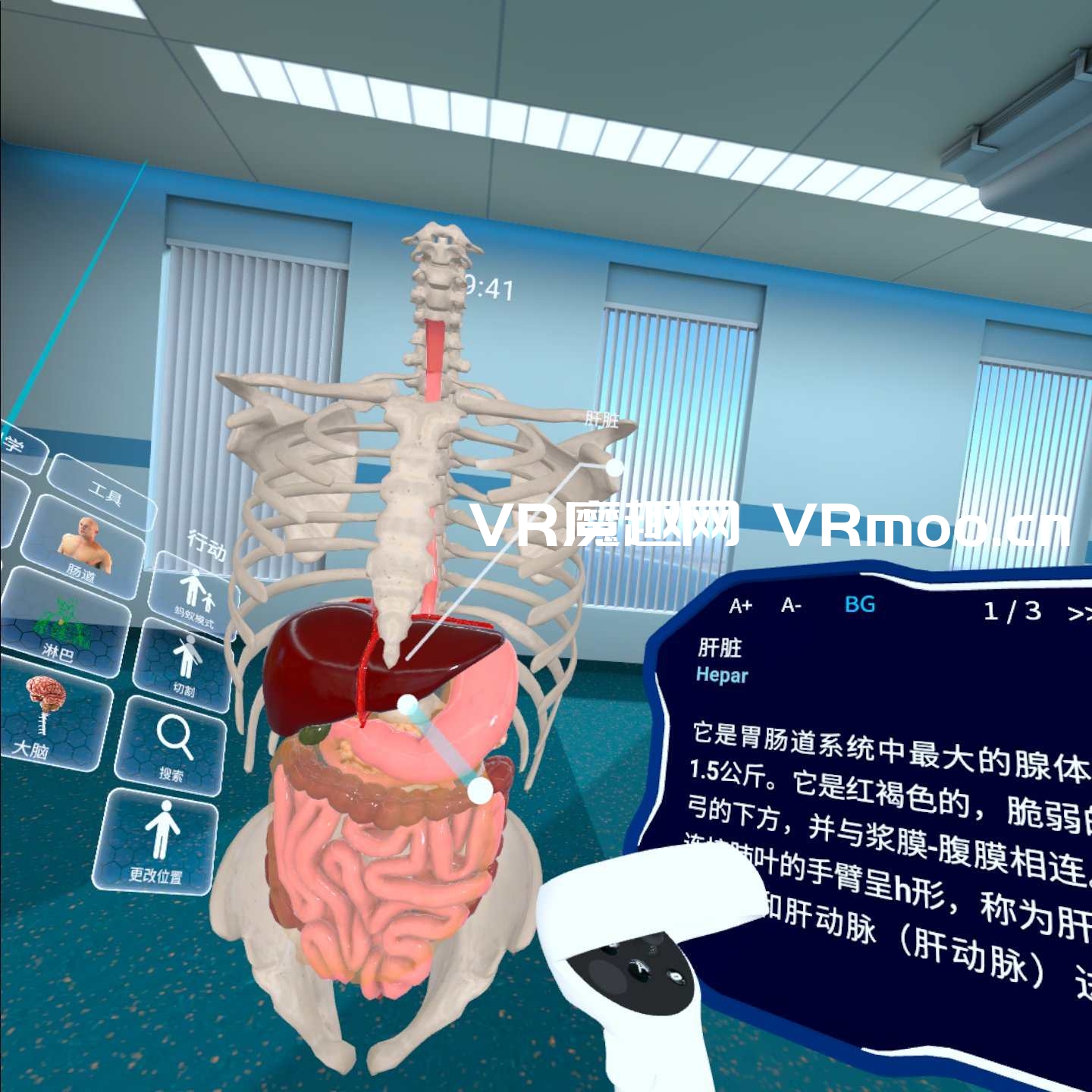 Oculus Quest 游戏《高中解剖学汉化中文版》High School Anatomy for Quest