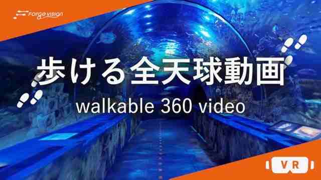 Oculus Quest 游戏《Walkable 360 Video》步行 360 度全景视频