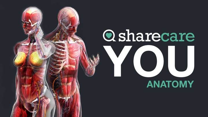 Oculus Quest 游戏《器官解刨学》Sharecare YOU Anatomy VR
