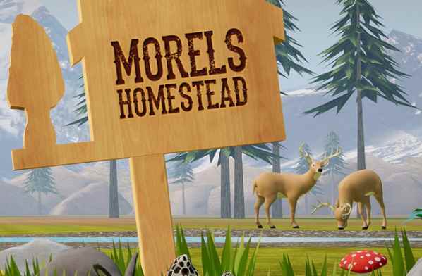 Oculus Quest 游戏《农场家园》Morels: Homestead