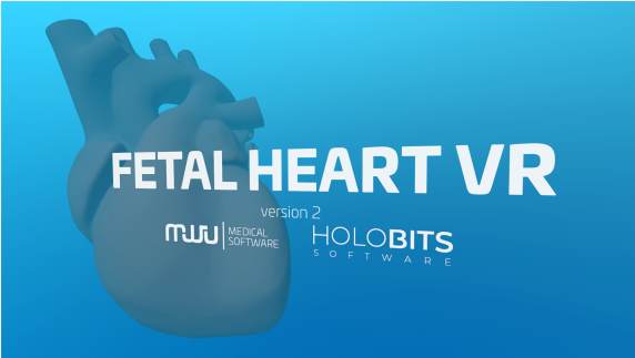 Oculus Quest 游戏《心脏病医学VR》Fetal Heart VR