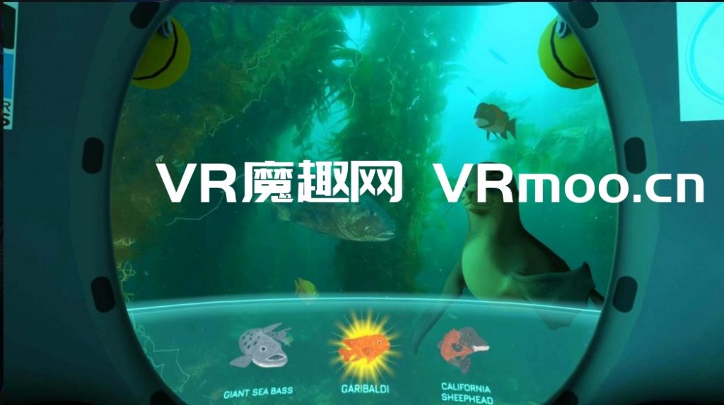 Oculus Quest 游戏《DIVE VR》加利福尼亚海洋