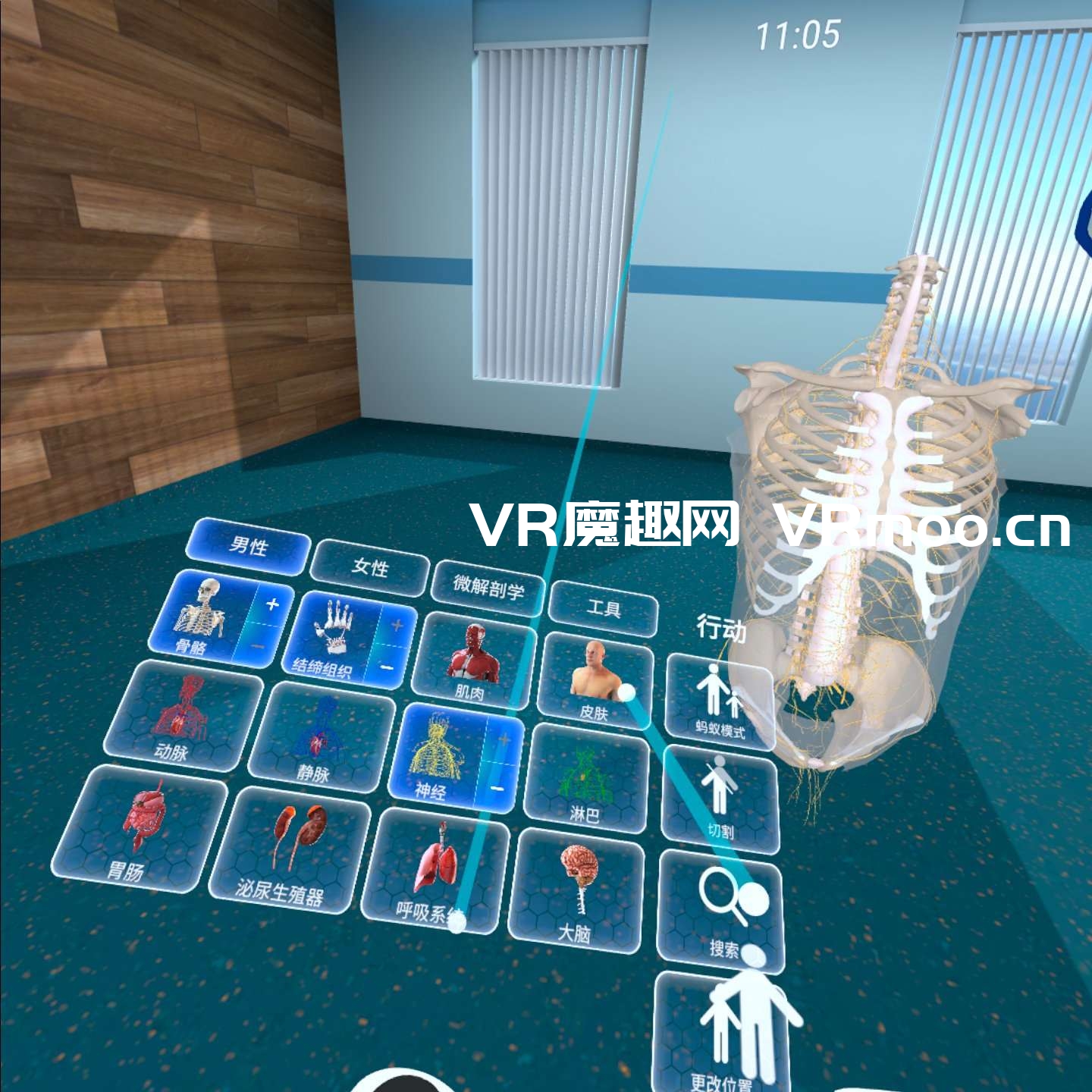 Oculus Quest 游戏《高中解剖学汉化中文版》High School Anatomy for Quest