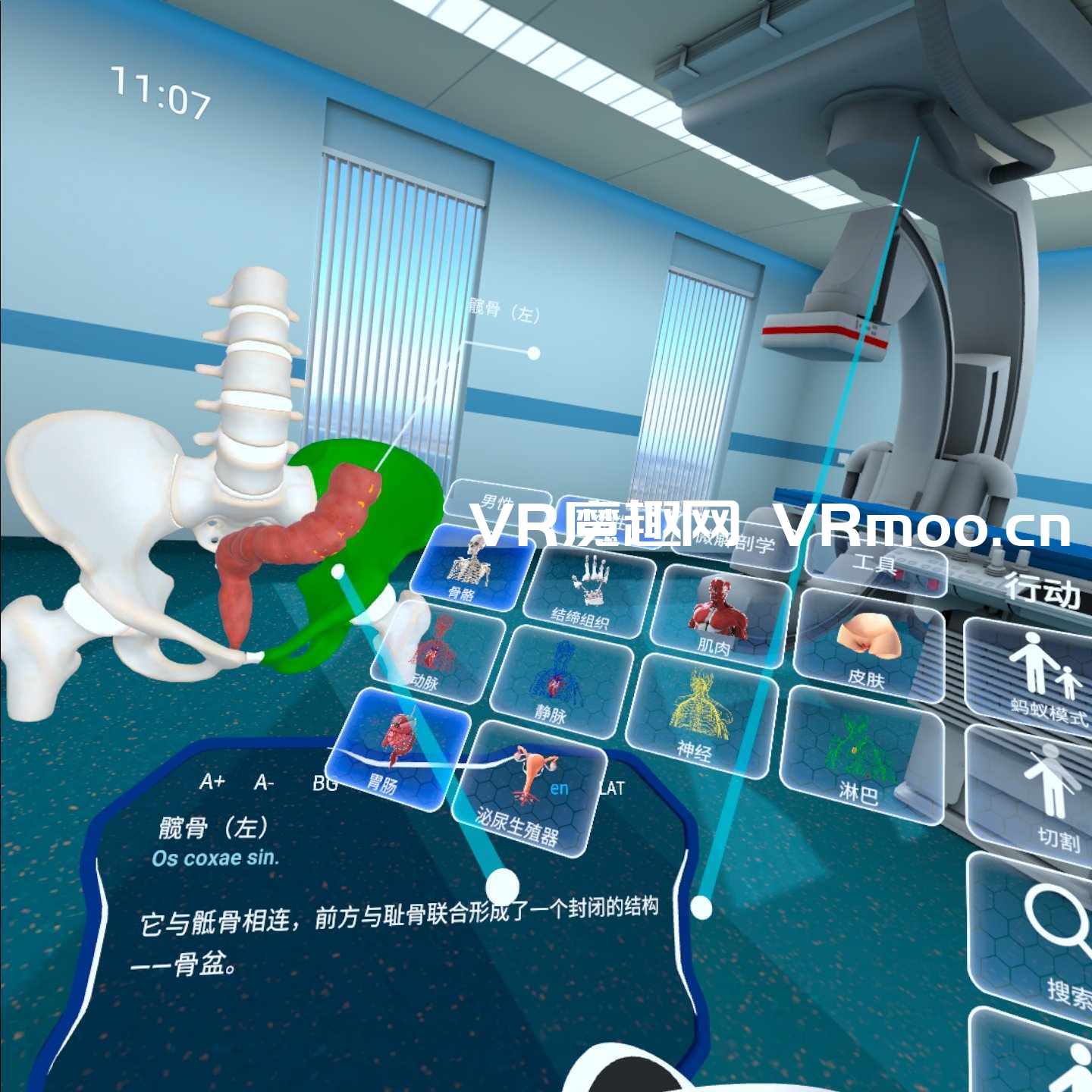 Oculus Quest 游戏《高中解剖学汉化中文版》High School Anatomy for Quest