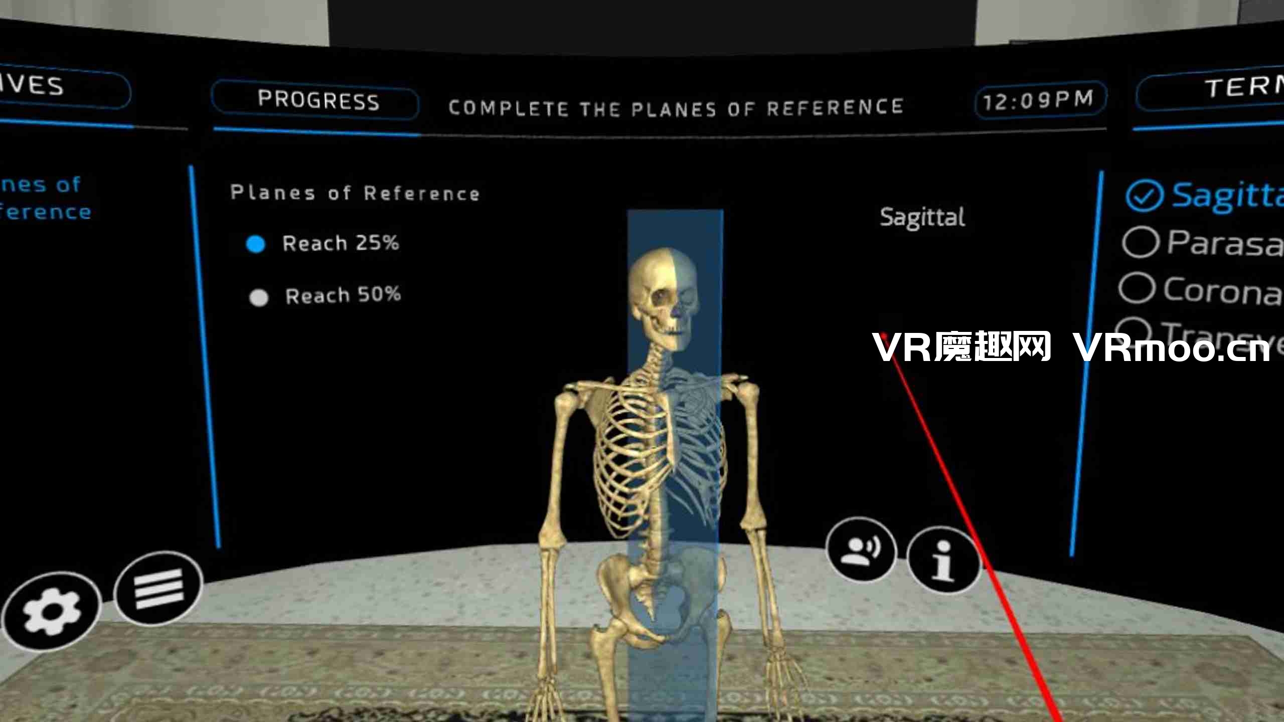 Oculus Quest 游戏《人体骨科 VR》Human Osteology VR