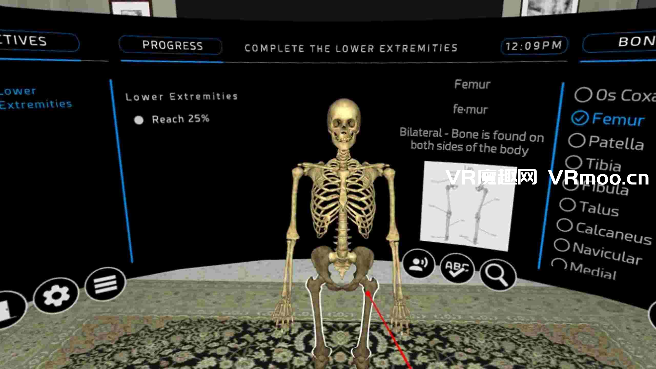 Oculus Quest 游戏《人体骨科 VR》Human Osteology VR