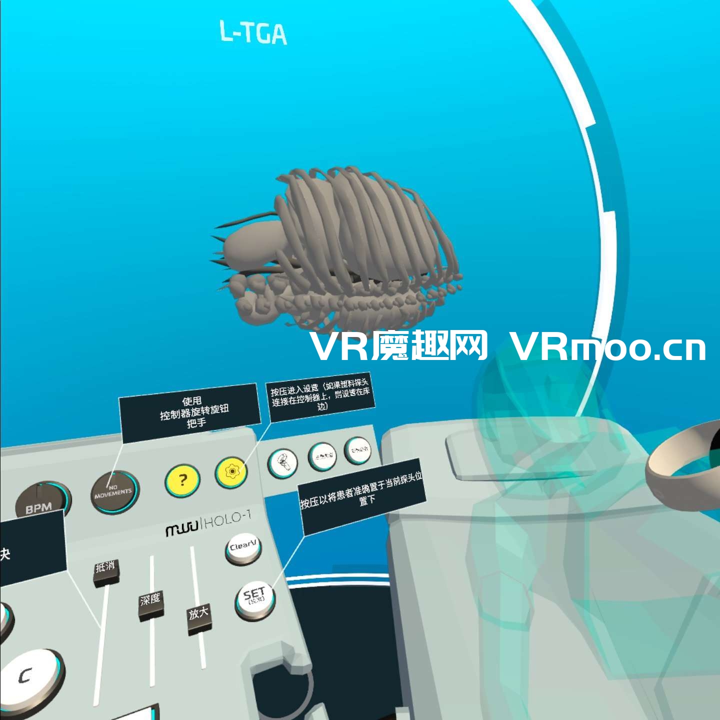 Oculus Quest 医学《心脏病医学VR汉化版》Fetal Heart VR
