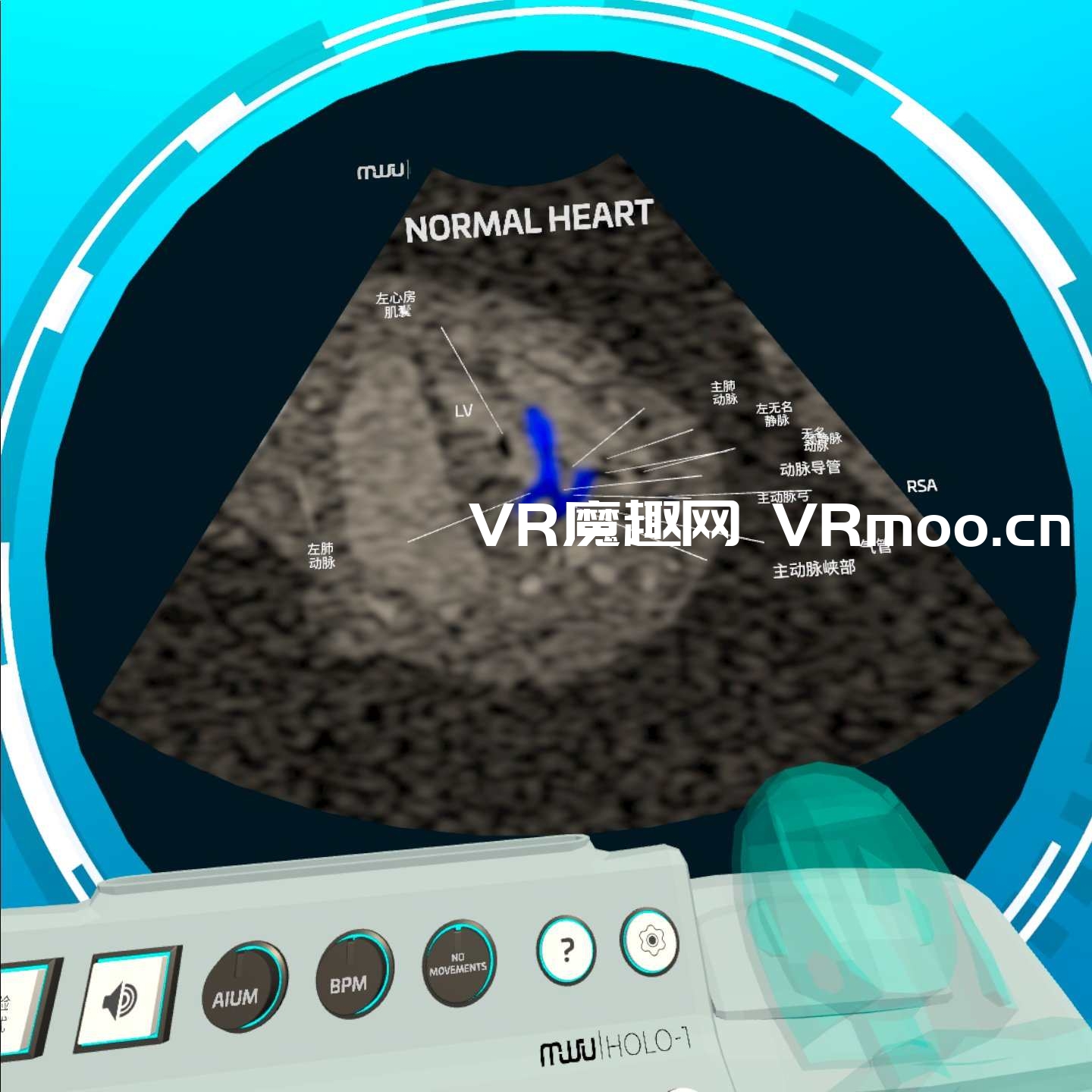 Oculus Quest 医学《心脏病医学VR汉化版》Fetal Heart VR