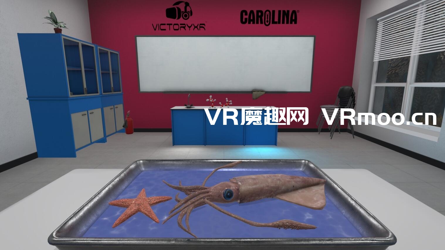 Oculus Quest 游戏《解剖模拟器 无脊椎动物》Dissection Simulator: Invertebrate Edition