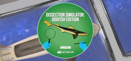 Oculus Quest 游戏《解剖模拟器 鲨鱼》Dissection Simulator: Shark Edition VR