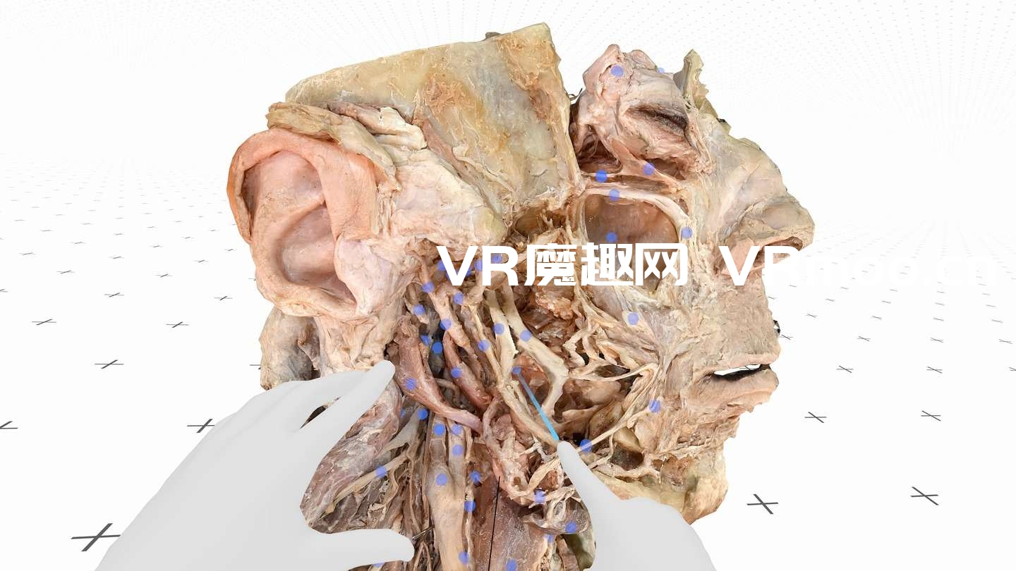 Oculus Quest 游戏《医疗全息甲板解剖大师 XR》Medicalholodeck is Dissection Master XR