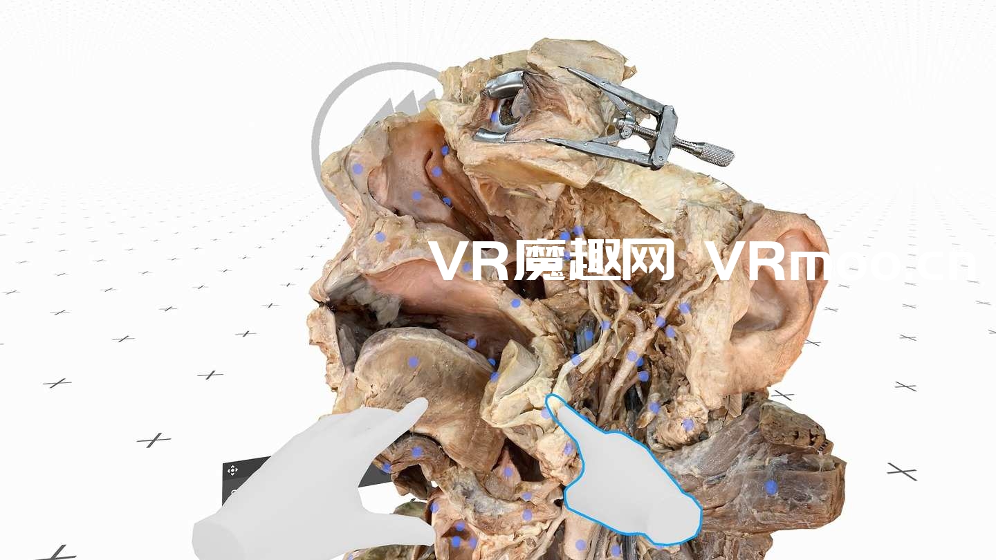 Oculus Quest 游戏《医疗全息甲板解剖大师 XR》Medicalholodeck is Dissection Master XR