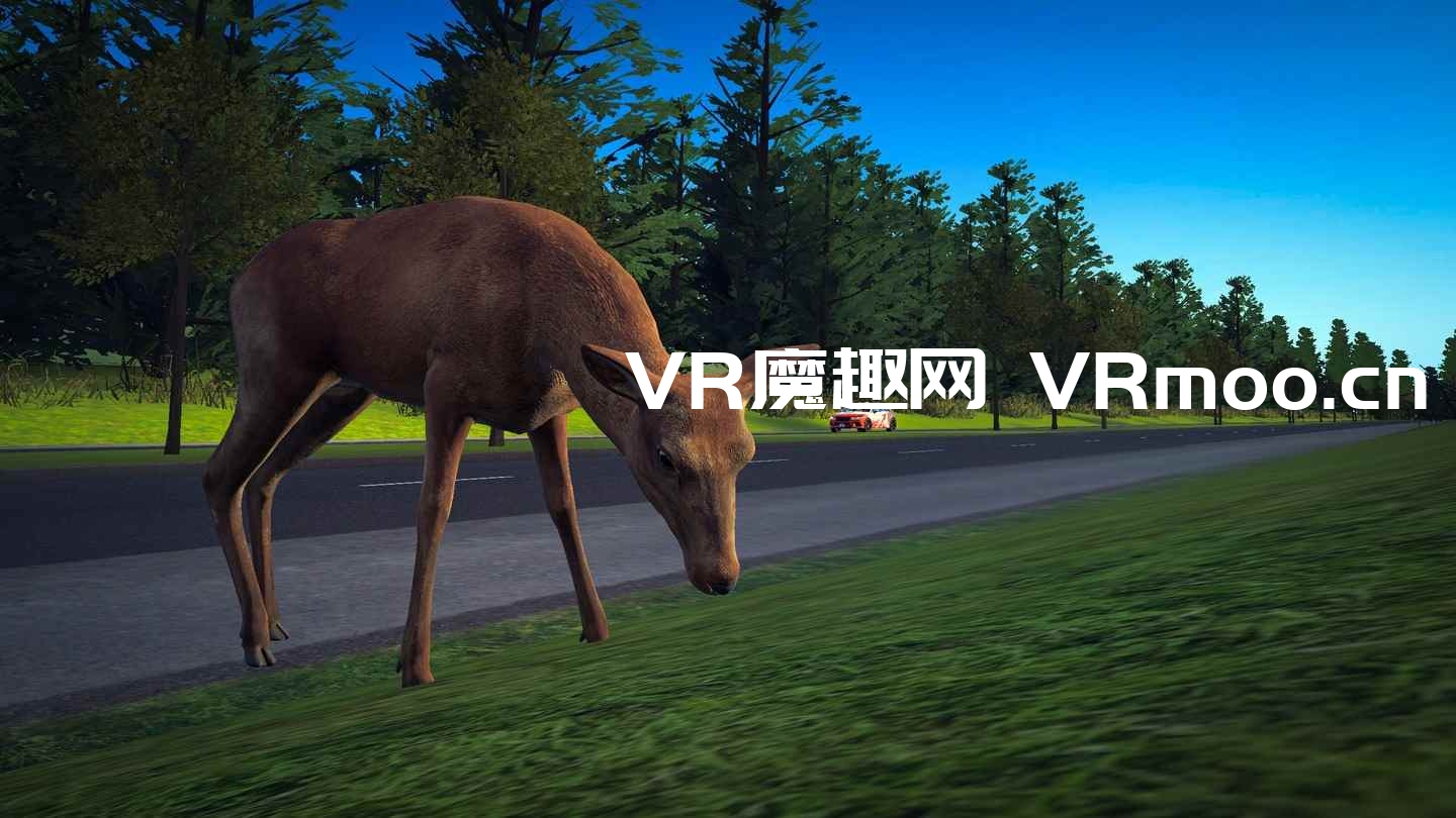 Oculus Quest 游戏《Street Sense VR》驾驶执照