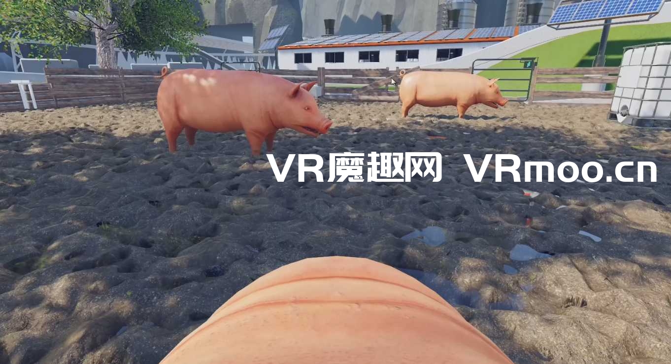 小猪模拟器（pig simulator VR）