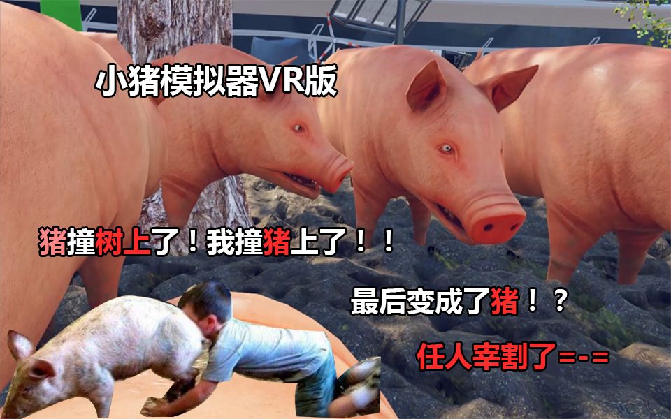 小猪模拟器（pig simulator VR）