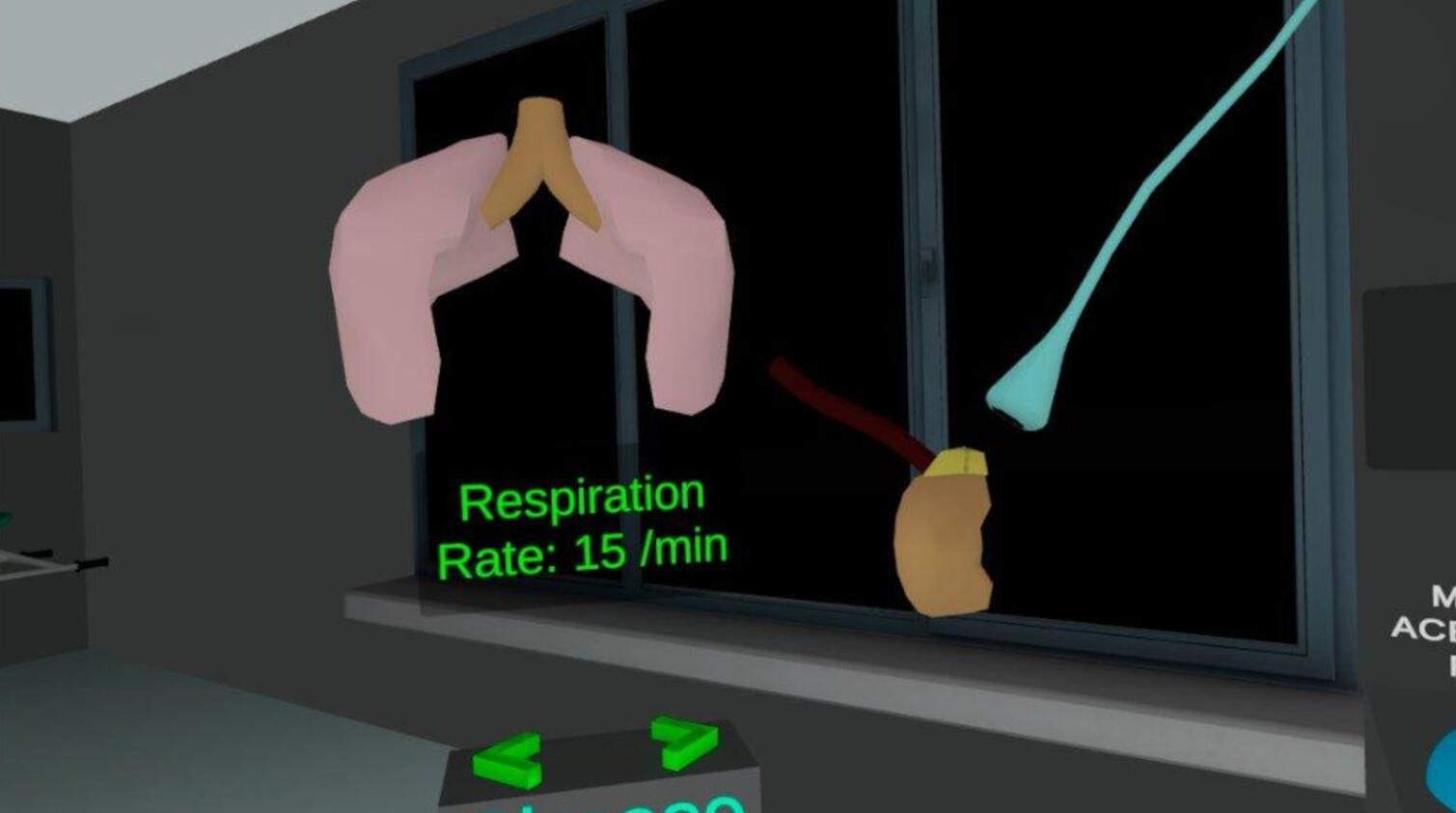 Oculus Quest 游戏《自主神经系统模拟器》Autonomic Nervous System Simulator