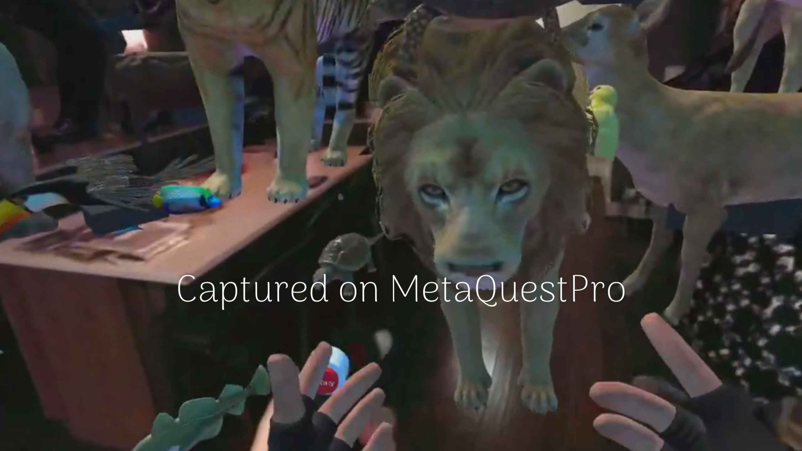 Oculus Quest 游戏《ZOSU 动物园之家通行证》ZOSU Zoo Home Passthrough