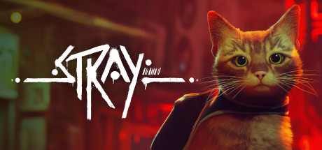 流浪猫（Stray）