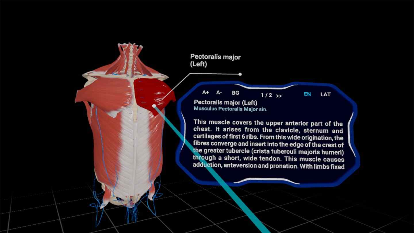 Oculus Quest 游戏《高中解剖学 VR》High School Anatomy for Quest