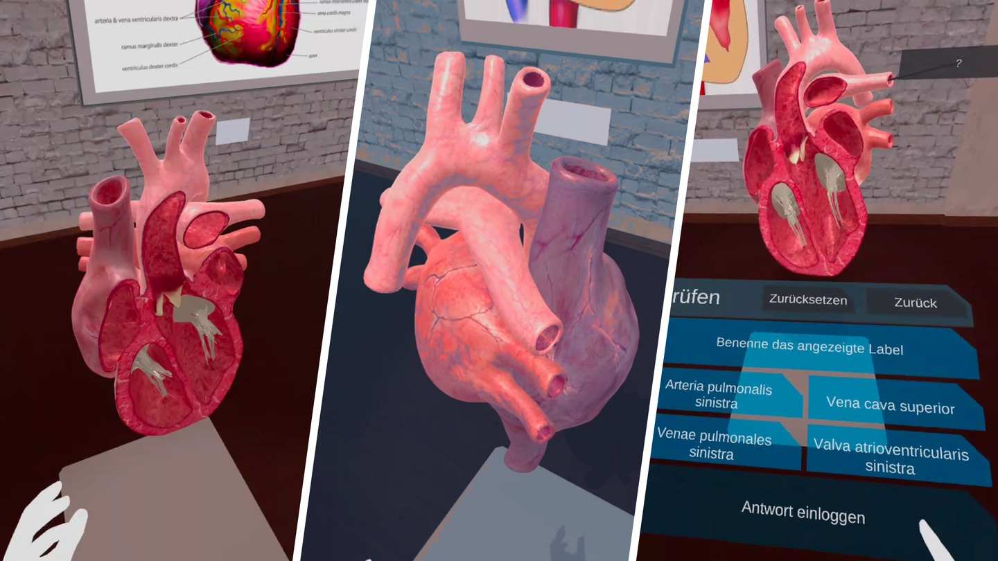 Oculus Quest 游戏《解剖实验室》VR Anatomy Lab