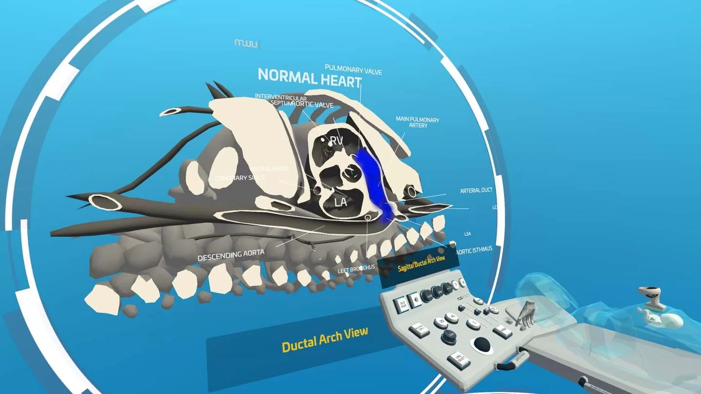 Oculus Quest 游戏《心脏病医学VR》Fetal Heart VR