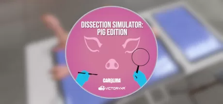 Oculus Quest 游戏《解剖模拟器 小猪》Dissection Simulator – Pig Edition