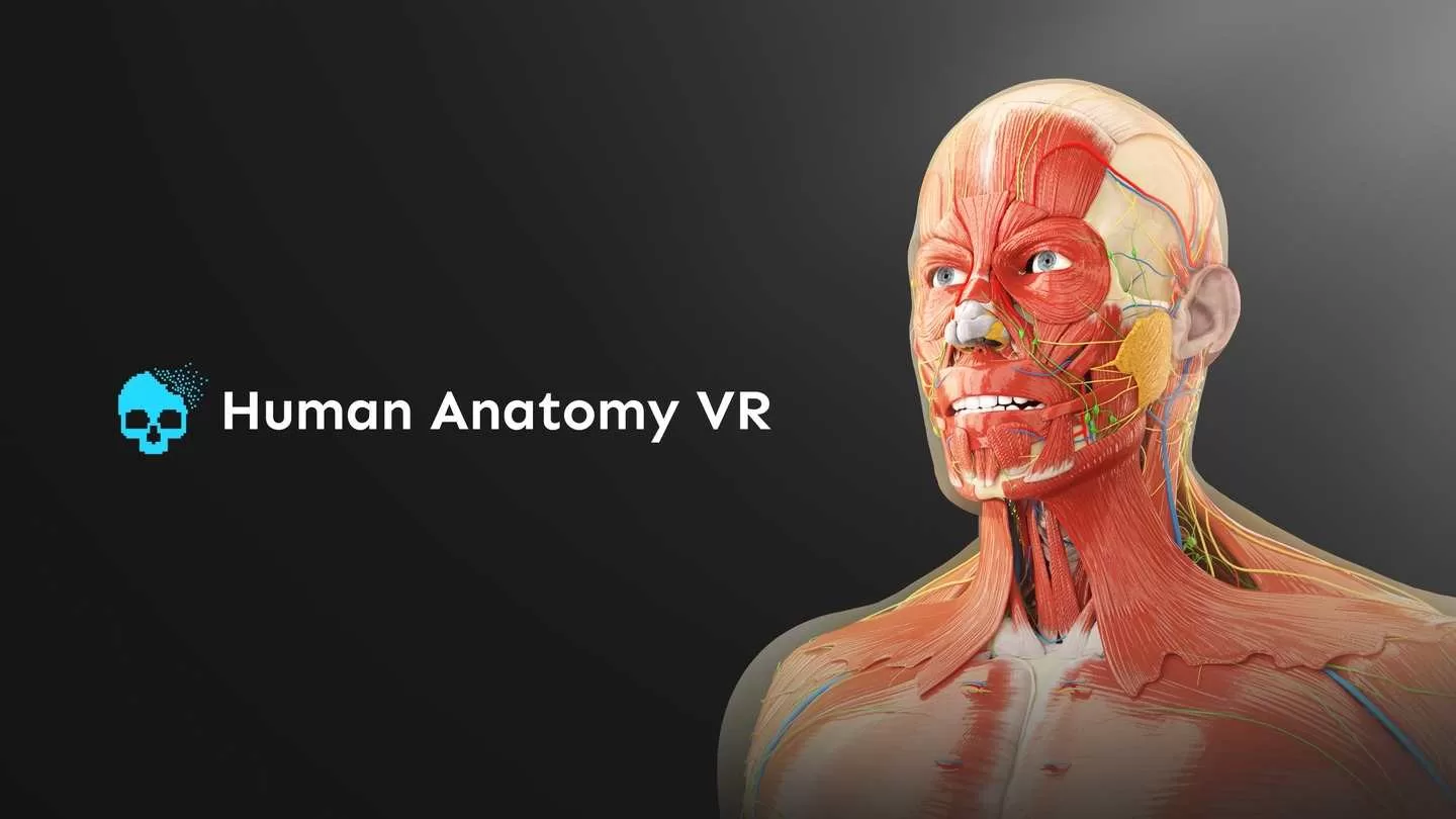 Oculus Quest 游戏《人体解剖VR》Human Anatomy VR
