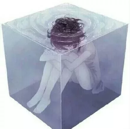 半醒的狐狸