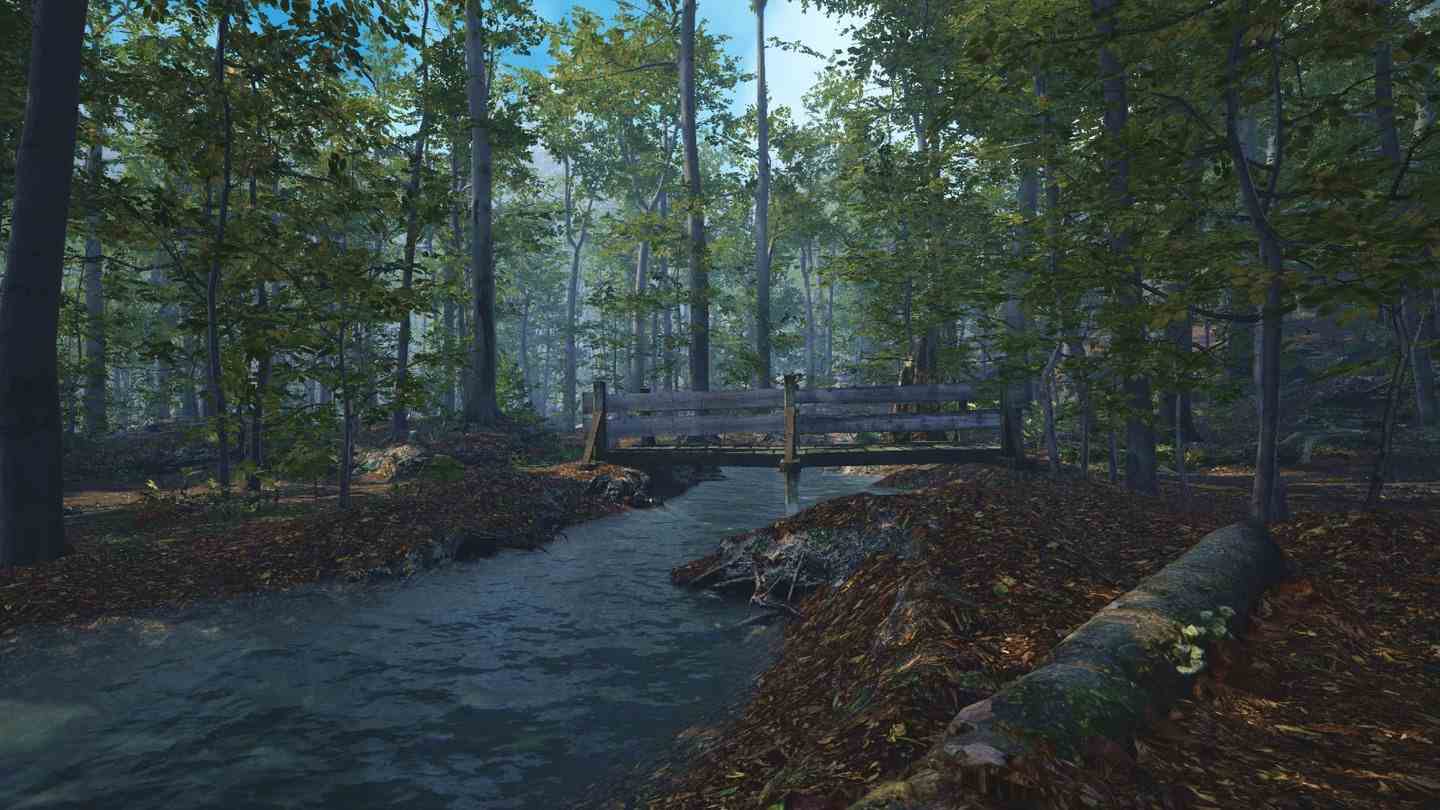 Meta Quest 游戏《大型猫科动物》Big Cat Rescue