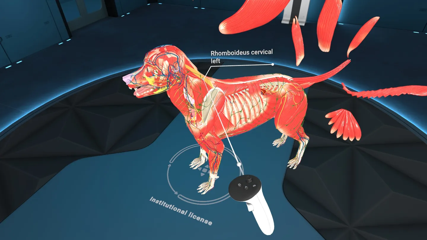 Meta Quest 游戏《动物解剖学XR》Animal Anatomy XR