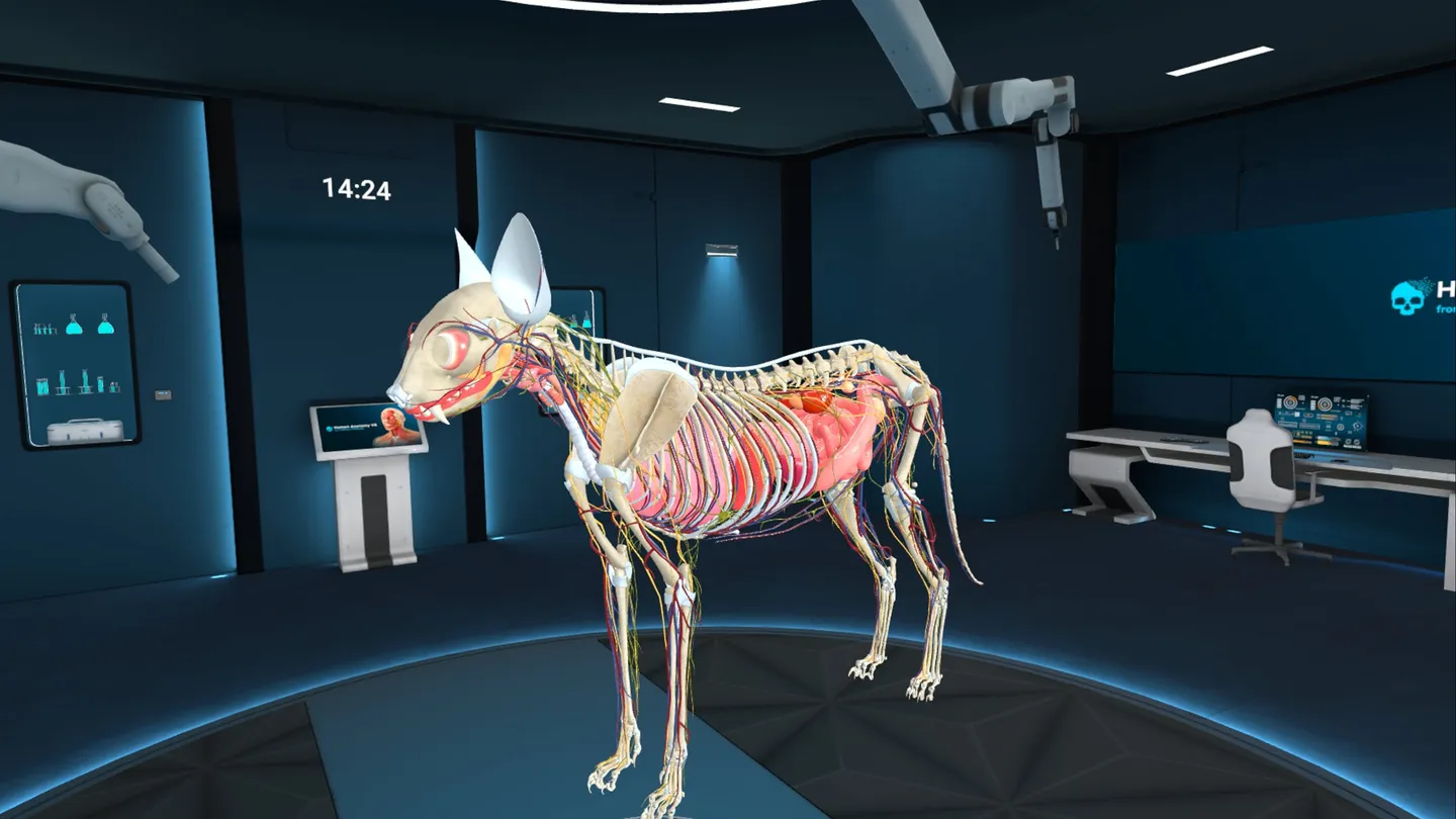 Meta Quest 游戏《动物解剖学XR》Animal Anatomy XR