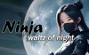 Oculus Quest 游戏《忍者-夜之华尔兹》Ninja – Waltz of Night
