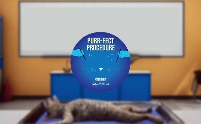 Oculus Quest游戏《解剖模拟器 猫科动物》Dissection Simulator – Cat Edition