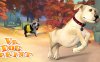 VR狗狗冲刺（VR Dog Sprint）