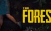 森林（The Forest）