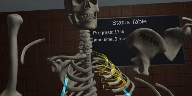 Oculus Quest 游戏《人体解剖学》Human Anatomy Puzzle