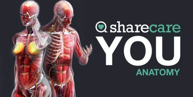 Oculus Quest 游戏《器官解刨学》Sharecare YOU Anatomy VR