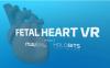 Oculus Quest 游戏《心脏病医学VR》Fetal Heart VR