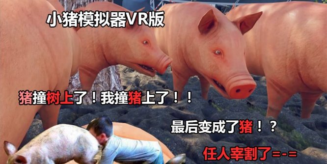 小猪模拟器(pig simulator VR)