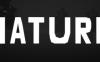 自然 (Nature)