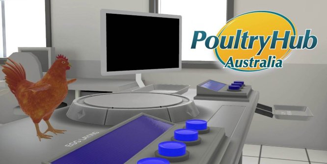 Oculus Quest 游戏《小鸡的解剖》Anatomy of a Chicken