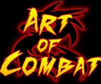 Oculus Quest 游戏《战斗艺术》Art of Combat