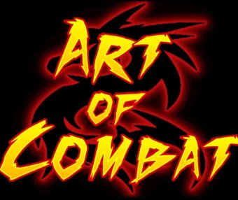 Oculus Quest 游戏《战斗艺术》Art of Combat