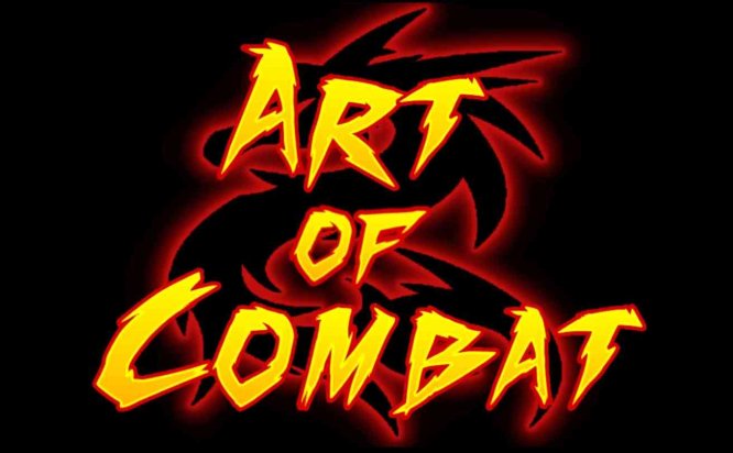 Oculus Quest 游戏《战斗艺术》Art of Combat