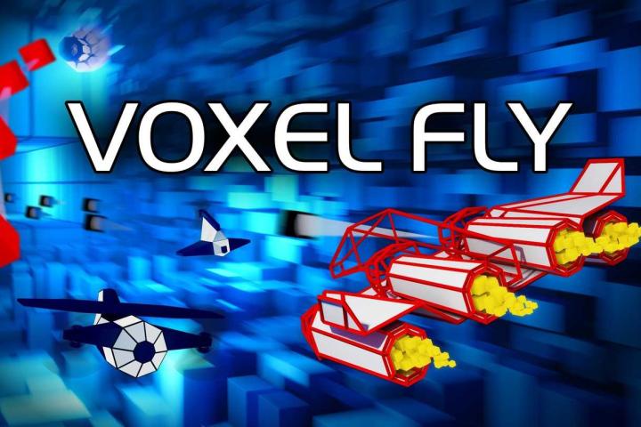 Oculus Quest 游戏《体素飞行》Voxel Fly – VR魔趣网
