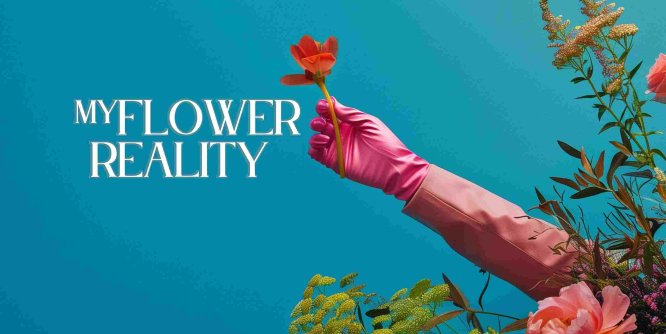 Oculus Quest 游戏《虚拟花盆》My Flower Reality