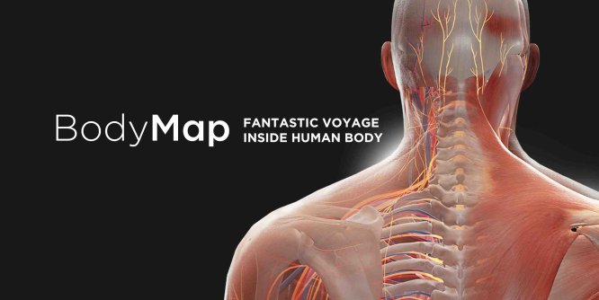 Oculus Quest 游戏《解剖学和医学教育》BodyMap for Anatomy and Medical Education