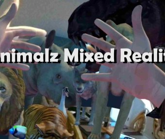 Oculus Quest 游戏《动物混合现实》Animalz Mixed Reality