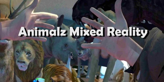 Oculus Quest 游戏《动物混合现实》Animalz Mixed Reality